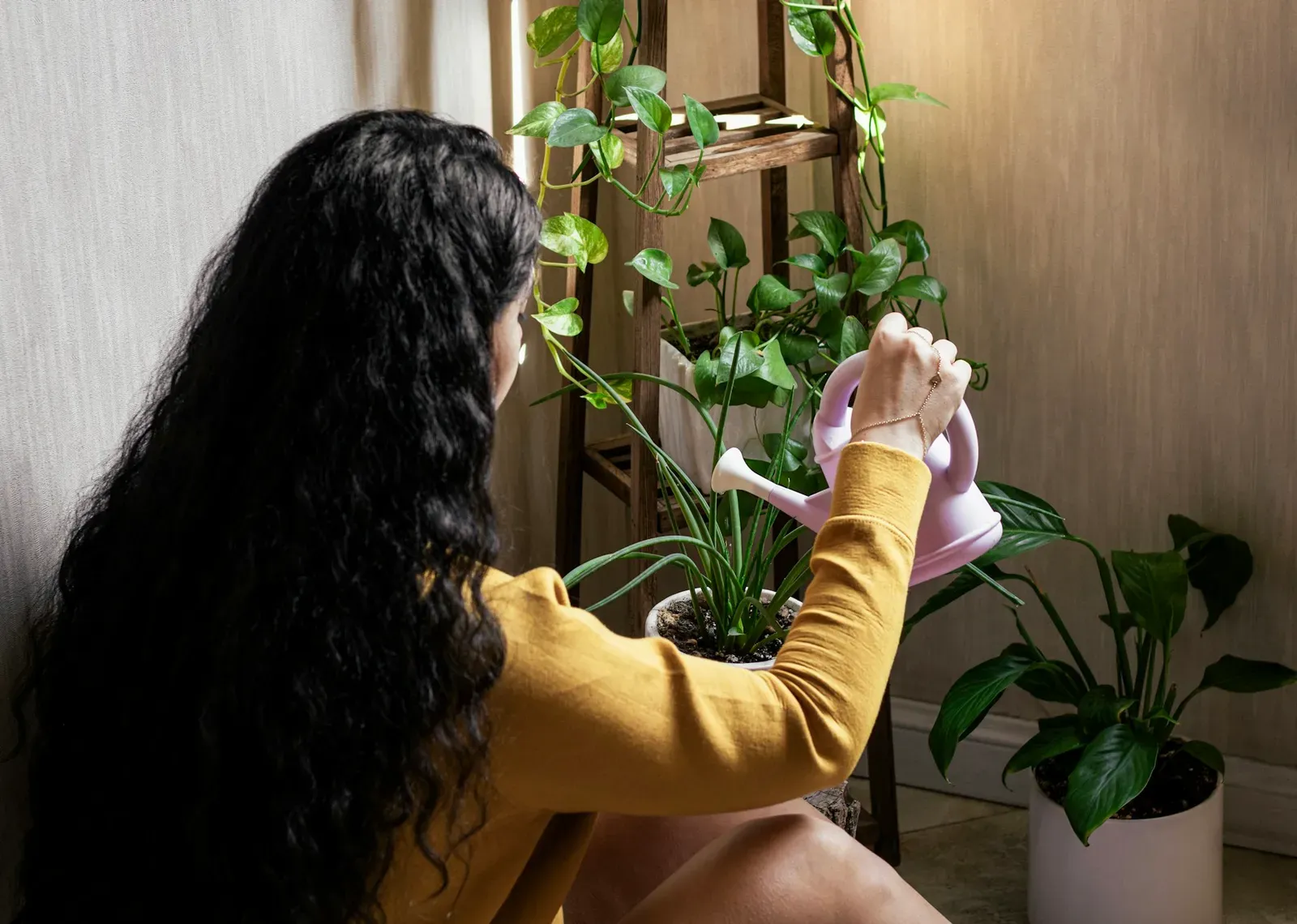 Persona regando plantas de interior con una regadera