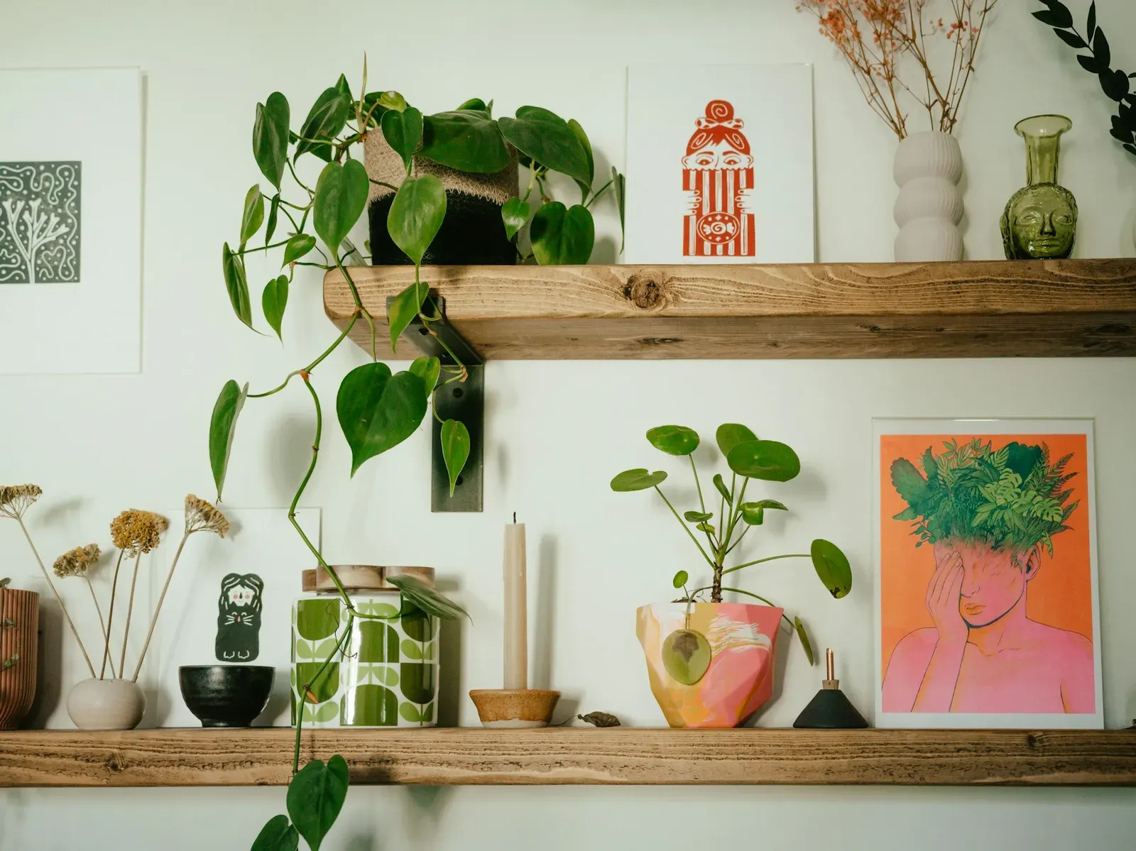 Estantería con varias plantas de interior en macetas