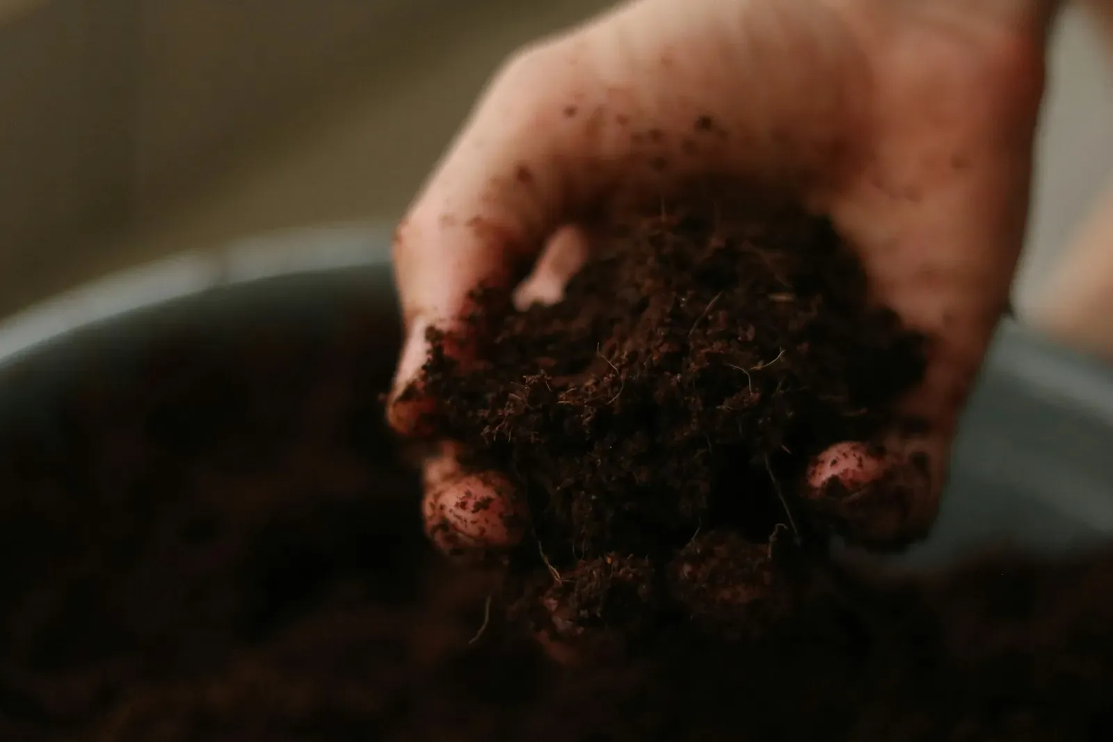 Mano sujetando un puñado de sustrato oscuro